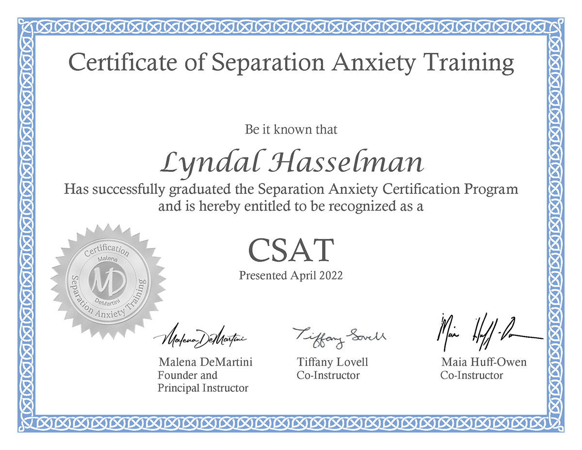 CSAT Certificate