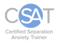 CSAT Logo
